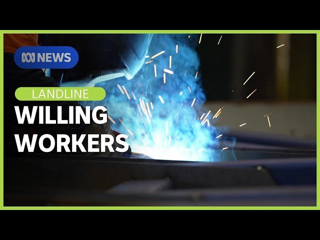 The migrant workers finding safety & opportunity in regional Australia